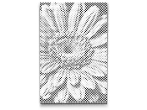 Fleur de gerbera - Dottingo