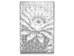 Fleur de cactus - Dottingo