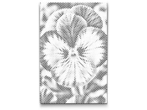 Fleur de pensée - Dottingo