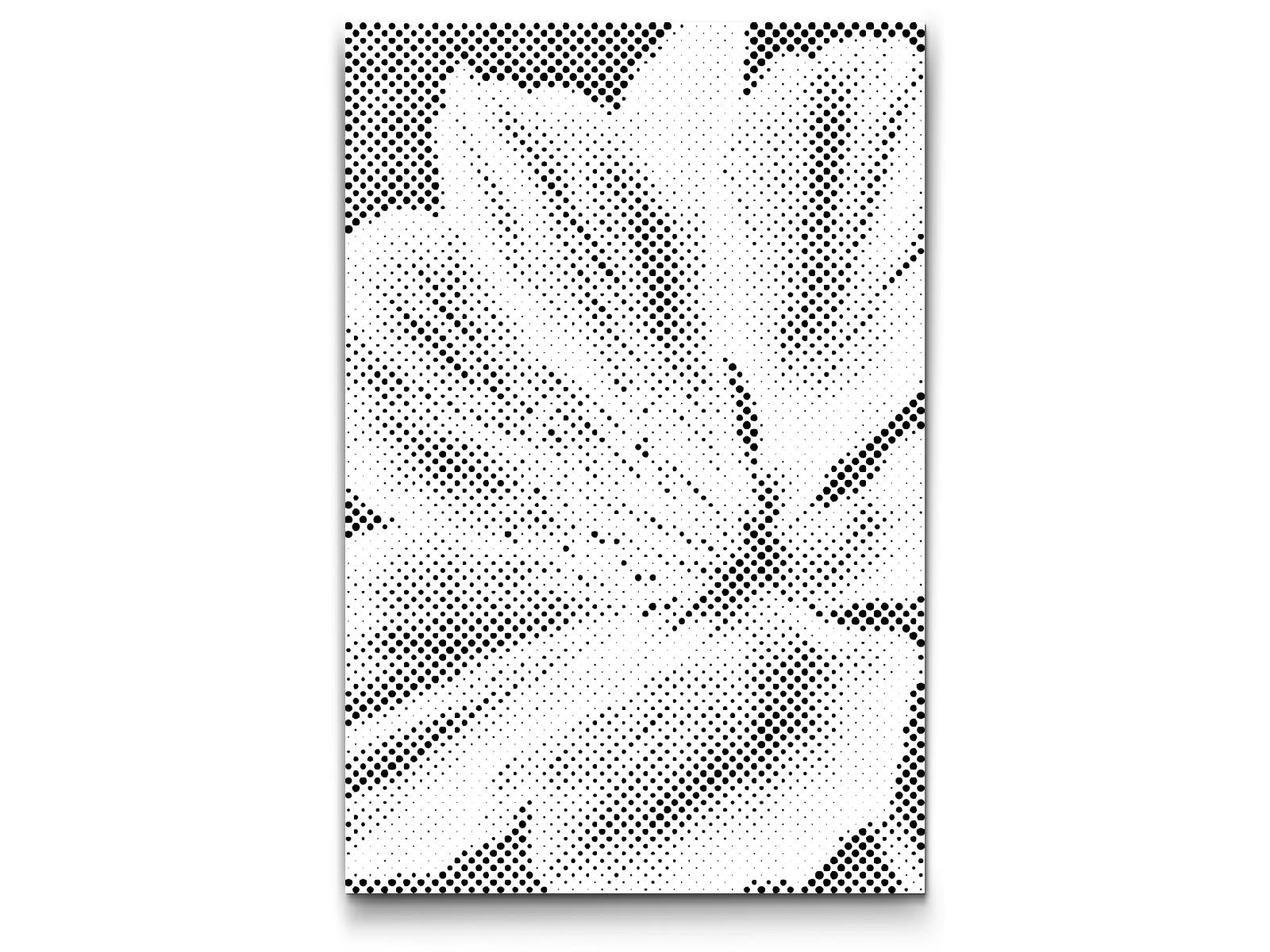 Fleur de muscade - Dottingo