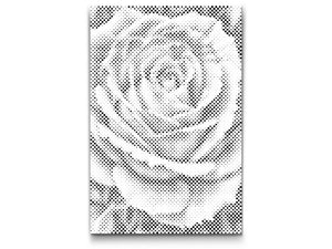 Fleur de rose - Dottingo