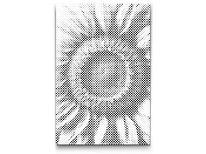 Fleur de tournesol - Dottingo