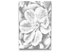 Fleur de pommier - Dottingo