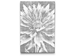 Fleur de bleuet - Dottingo