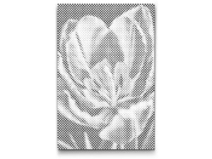 Fleur de tulipe - Dottingo