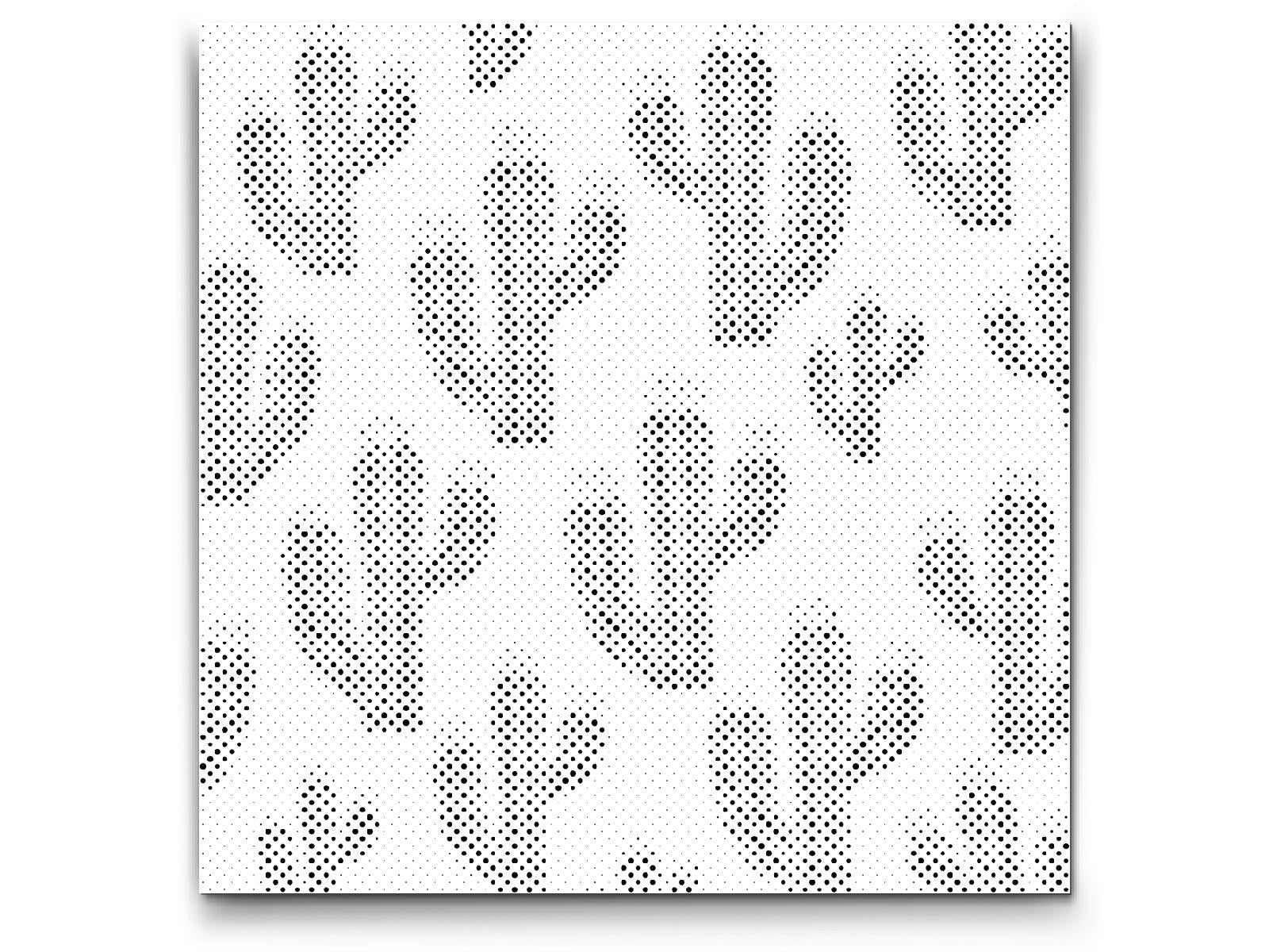Cactus en fleurs - Dottingo