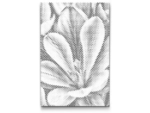 Fleur de crocus - Dottingo