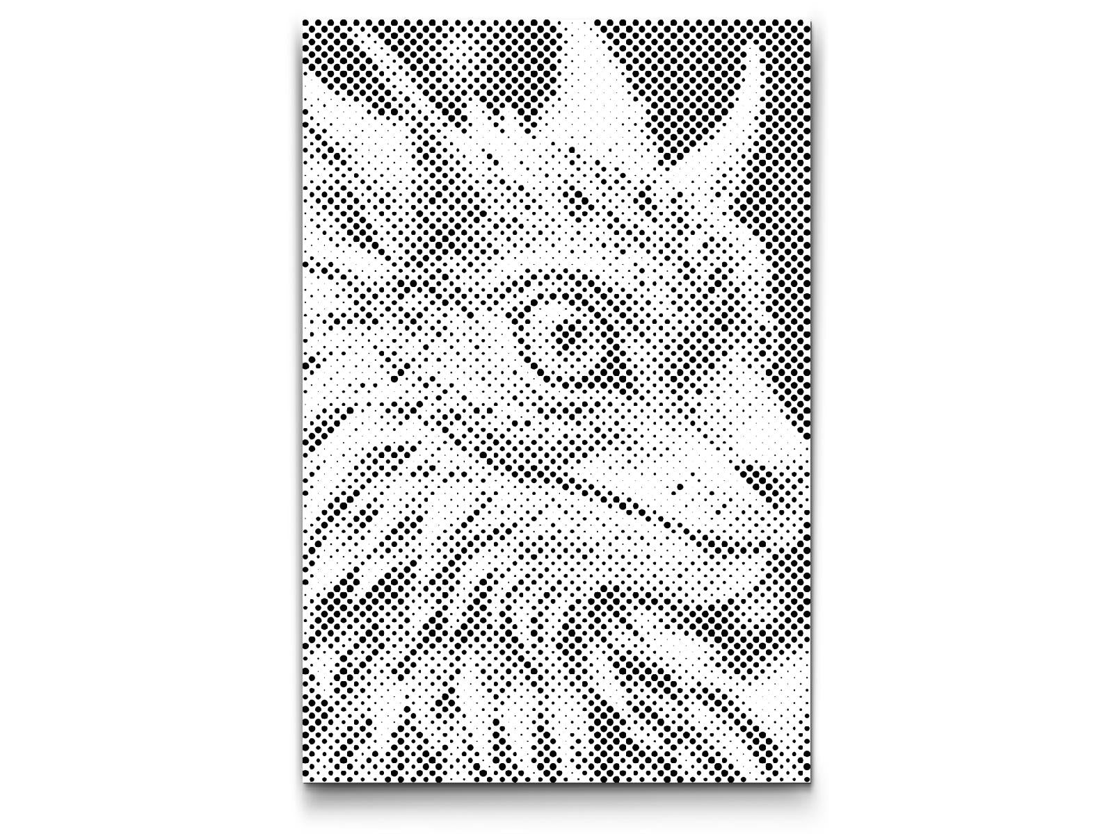 Bébé dragon - Dottingo
