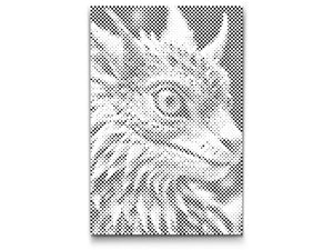 Bébé dragon - Dottingo