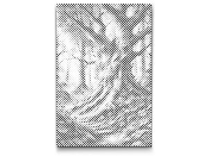 Forêt de contes de fées - Dottingo