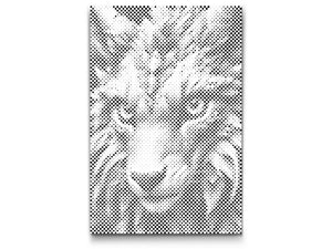 Renard magique de la forêt - Dottingo