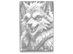 Loup-garou - Dottingo