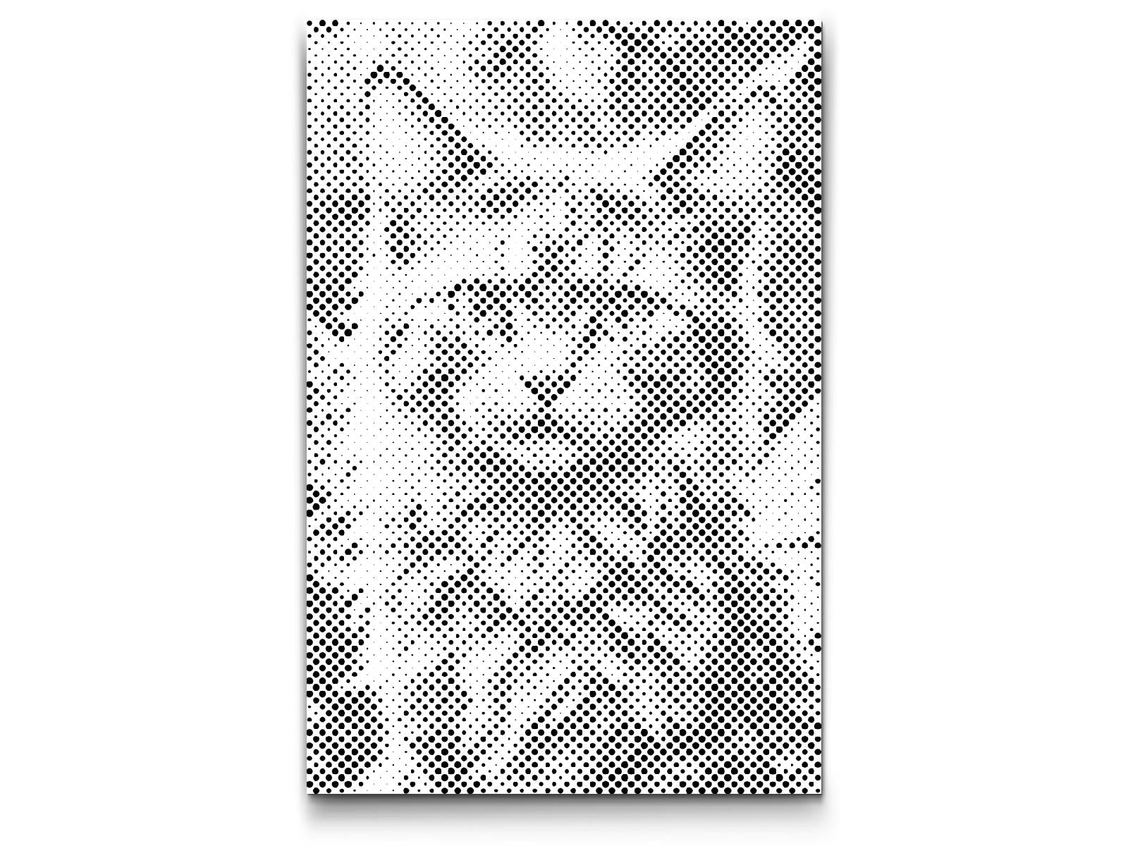Chat ailé magique - Dottingo