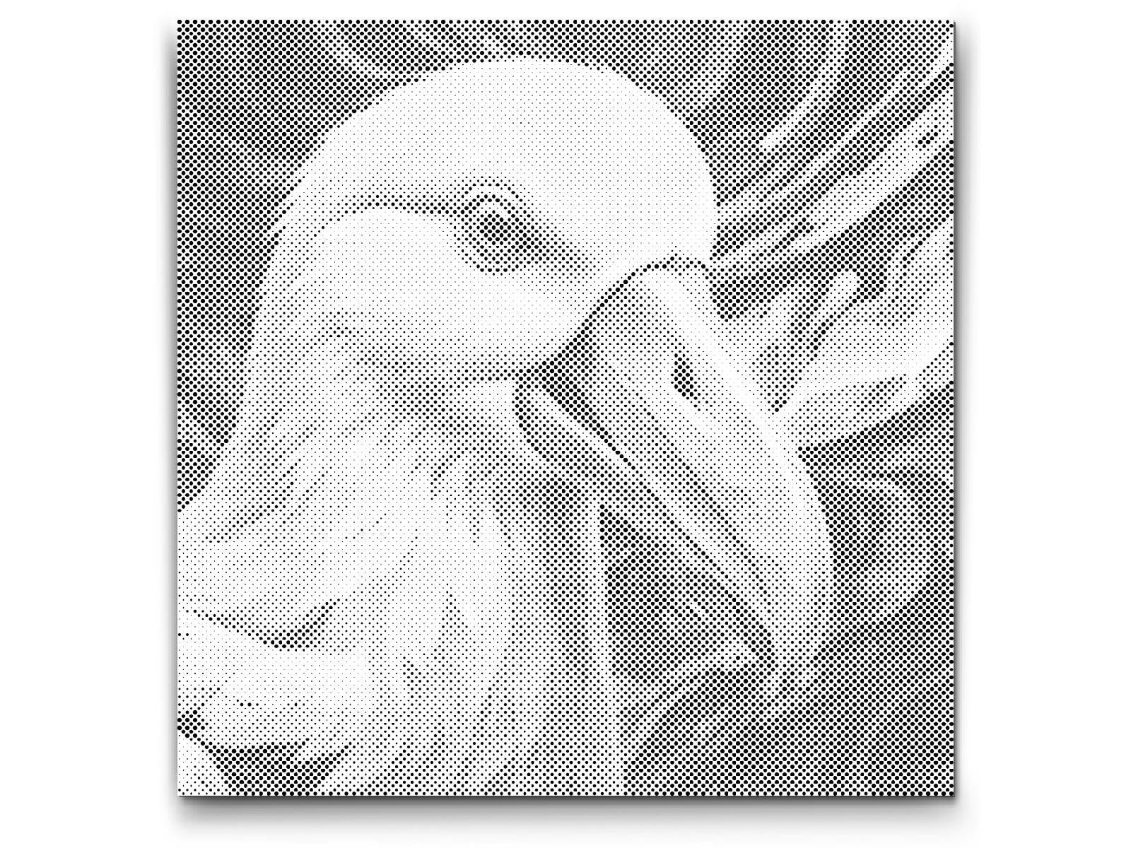 Albatros dans des tons de rouge et de bleu - Dottingo