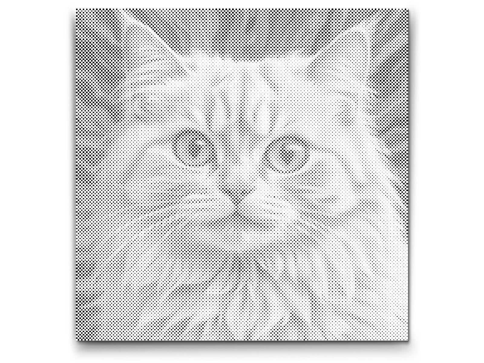 Chat dans des tons de rose - Dottingo