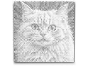 Chat dans des tons de rose - Dottingo