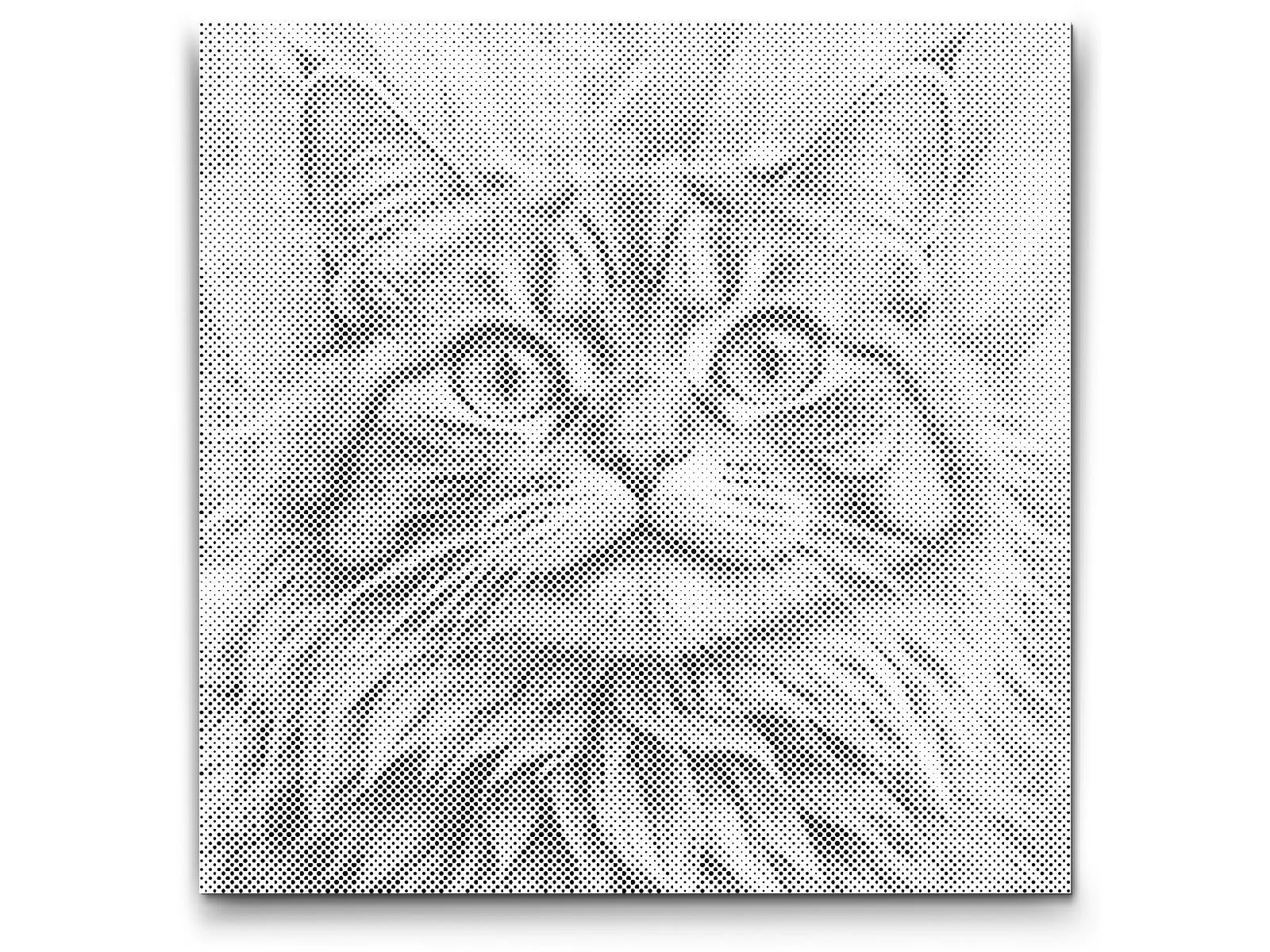 Chat dans des tons de turquoise et orange - Dottingo