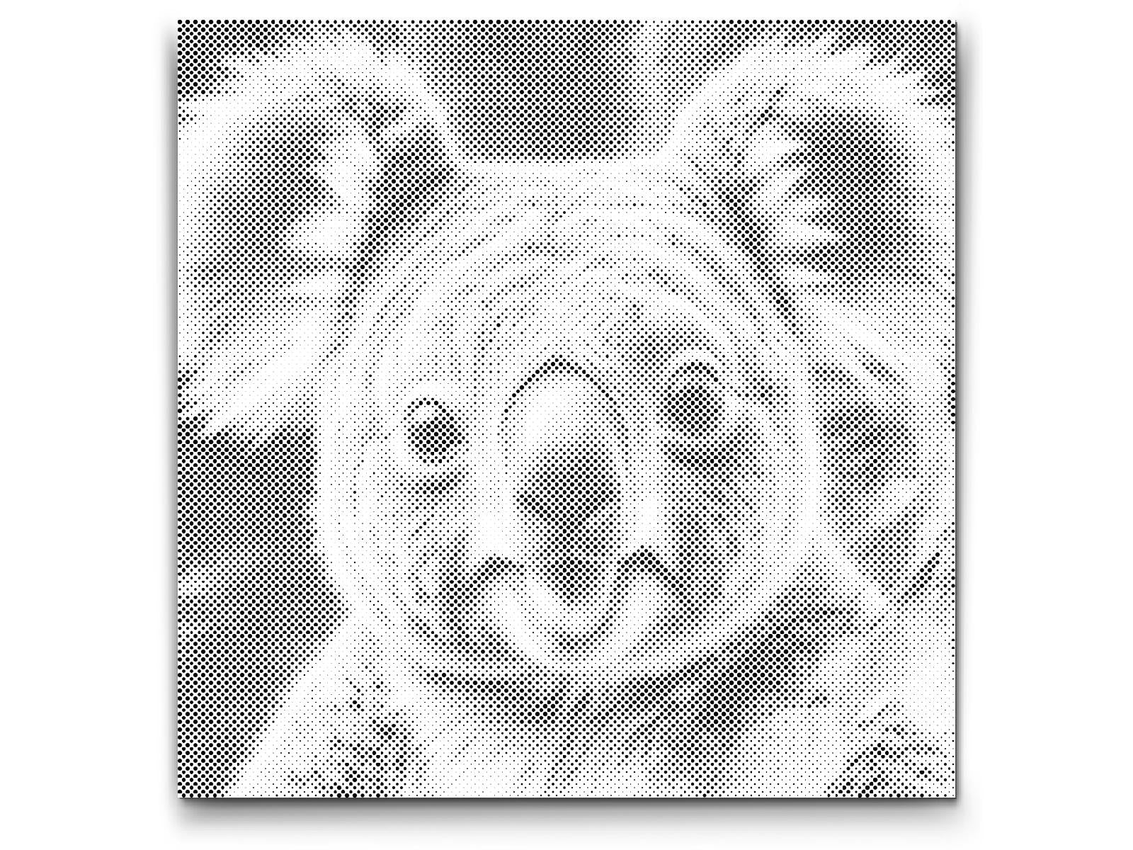 Koala dans des tons turquoise et orange - Dottingo
