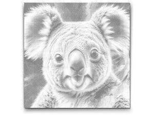 Koala dans des tons turquoise et orange - Dottingo