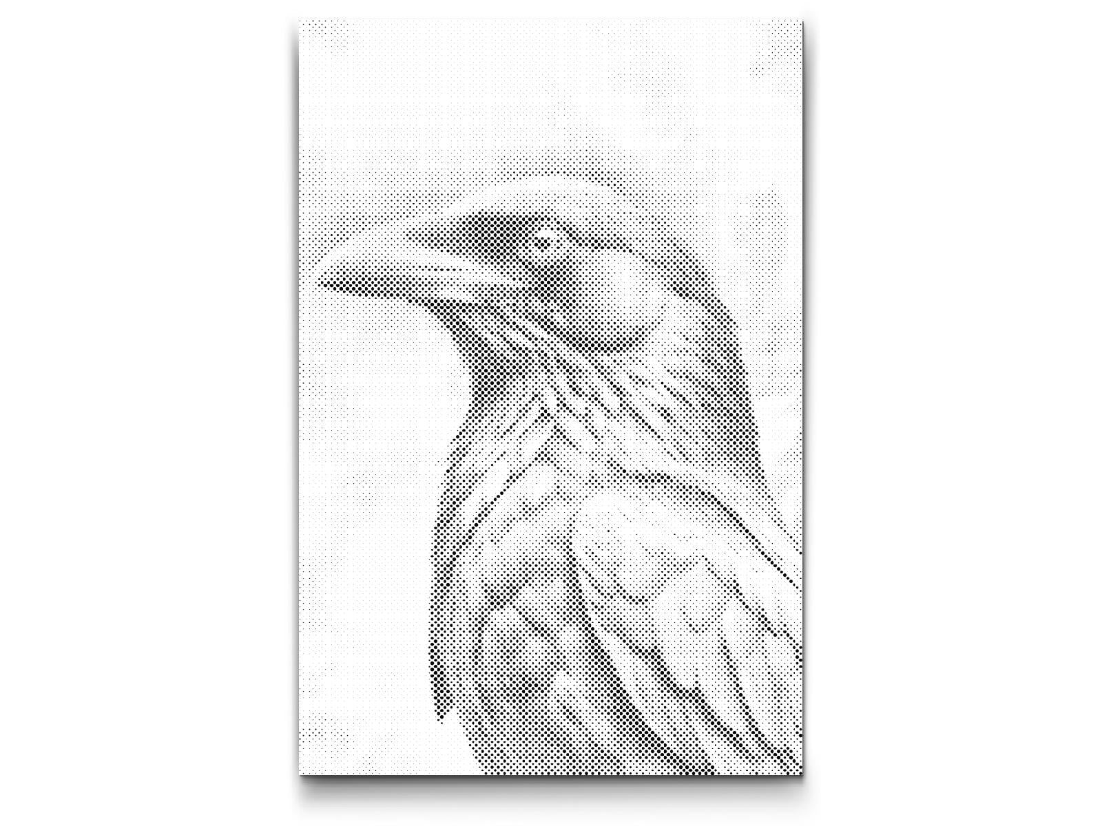 Corbeau dans des tons de turquoise foncé - Dottingo