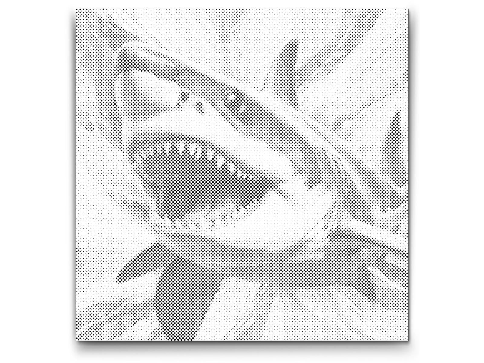 Requin dans des tons de turquoise et orange - Dottingo