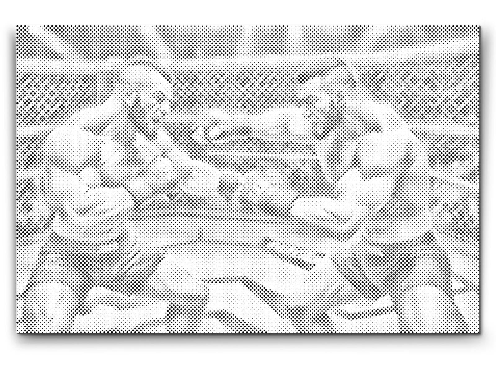 Combattants de MMA - Dottingo
