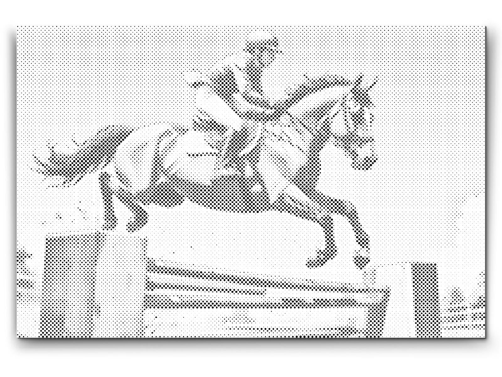 Équitation - Dottingo