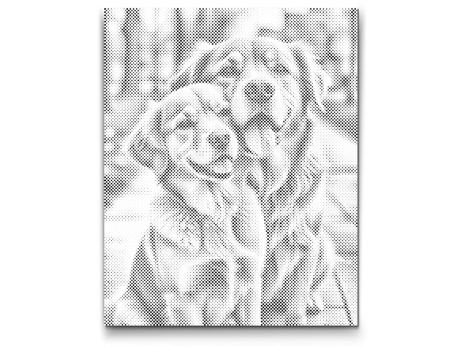 Chiens amoureux - Dottingo