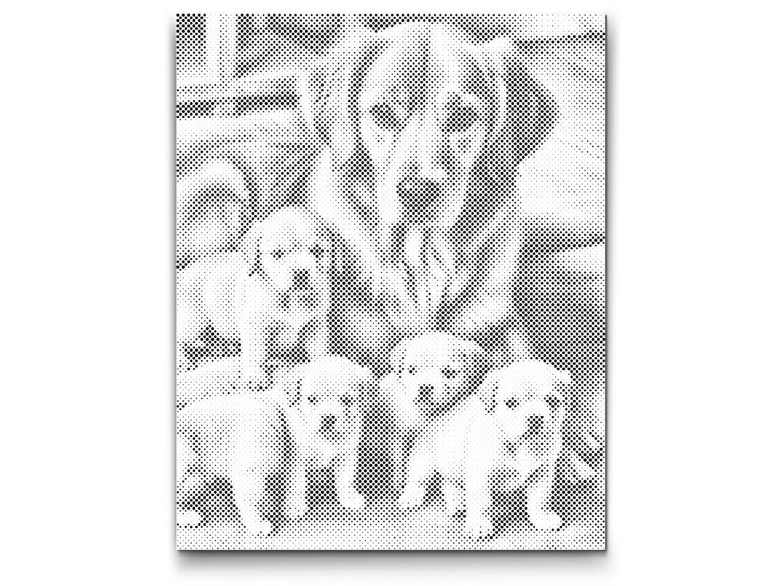Golden retriever et chiots - Dottingo