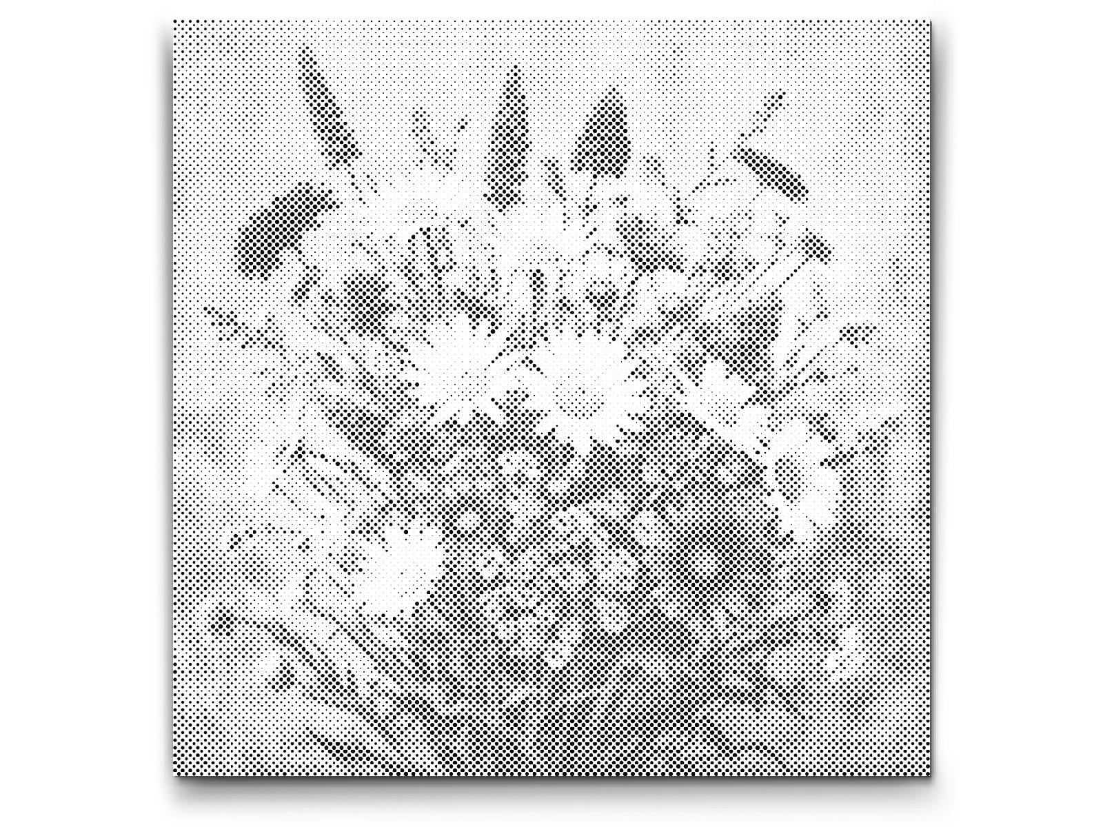 Bouquet de fleurs de prairie - Dottingo