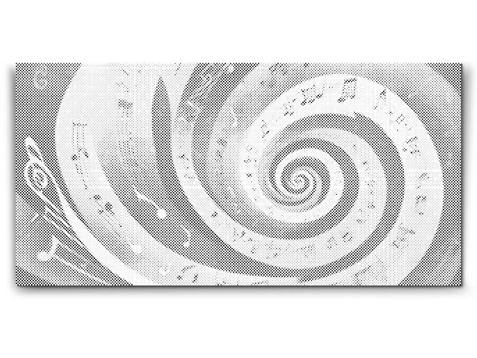 Spirale musicale - Dottingo