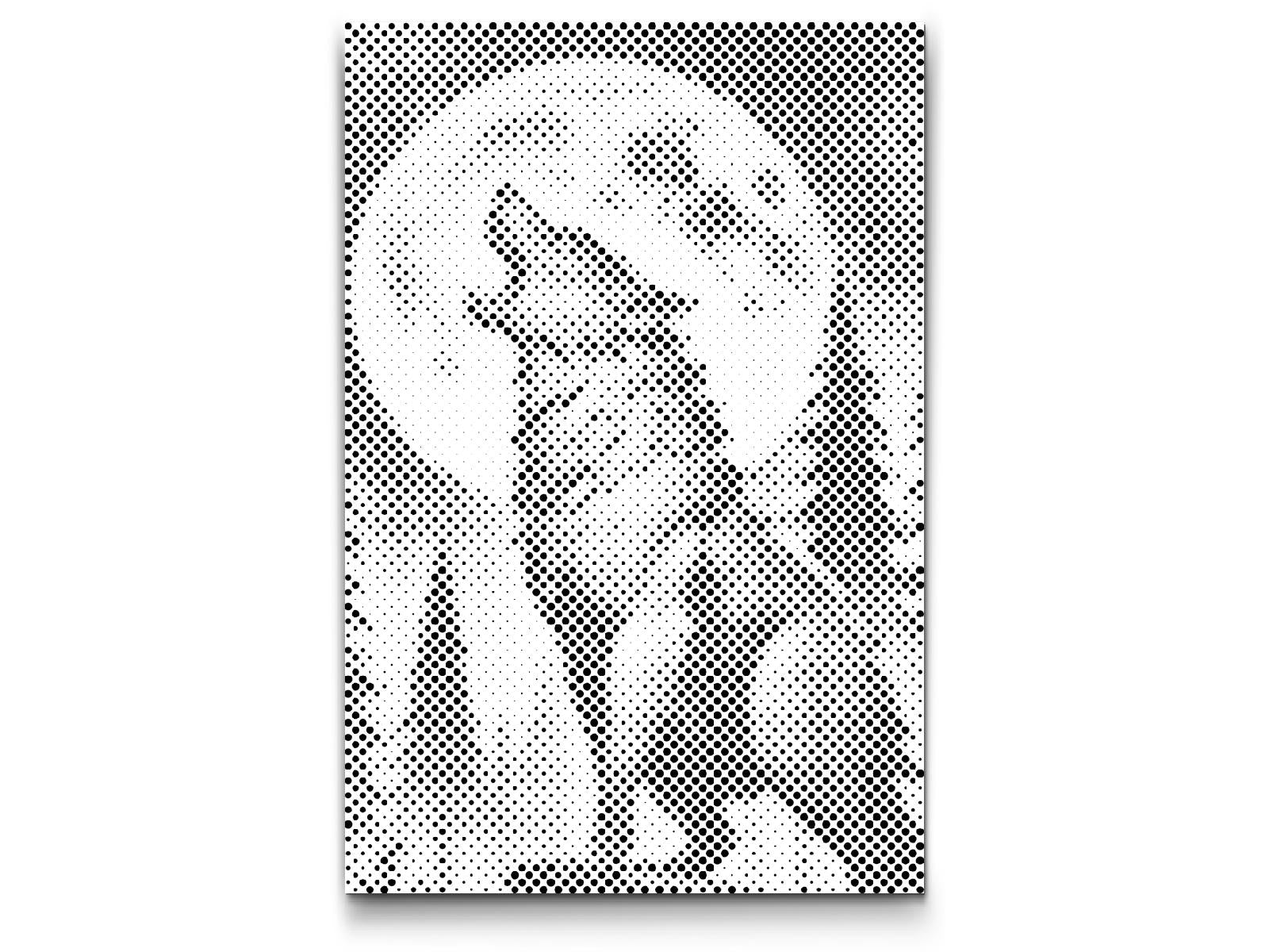 Loup dans la nuit - Dottingo