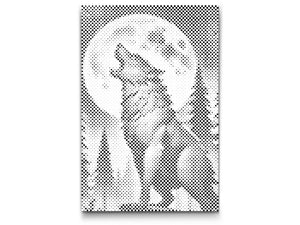 Loup dans la nuit - Dottingo