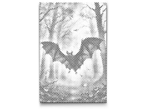 Chauve-souris dans la forêt - Dottingo