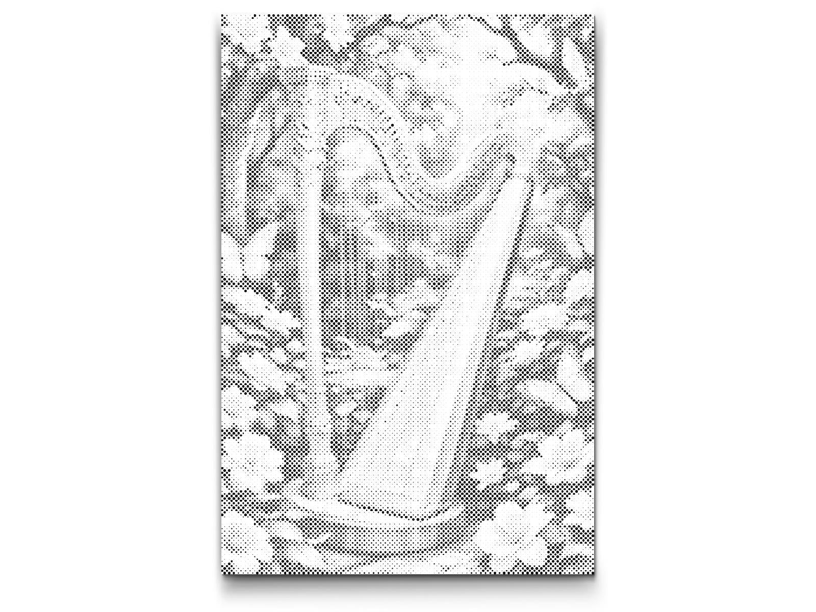 Harpe dans la nature - Dottingo