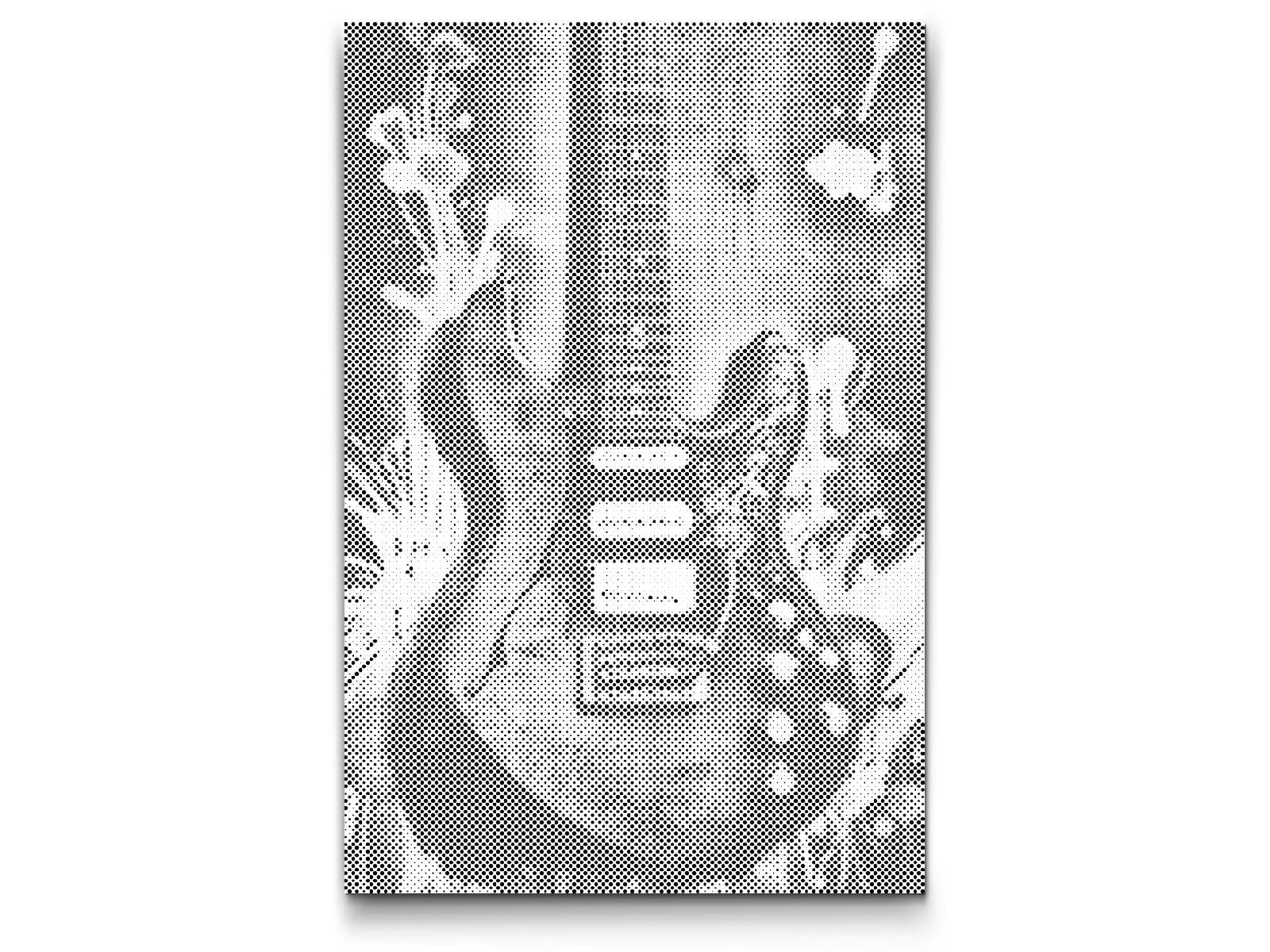 Guitare électrique - Dottingo