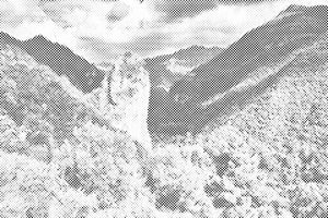 Orsomarso, Calabre - Dottingo