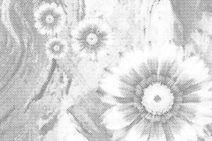 Fleurs d'été - Dottingo