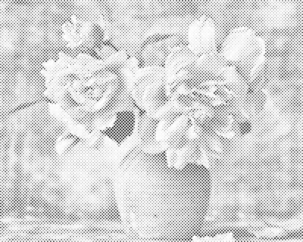 Vase de roses - Dottingo