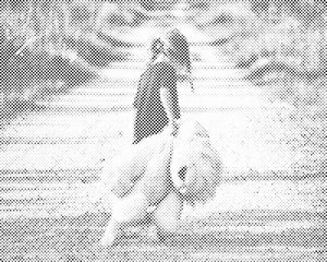 Ami en peluche - Dottingo