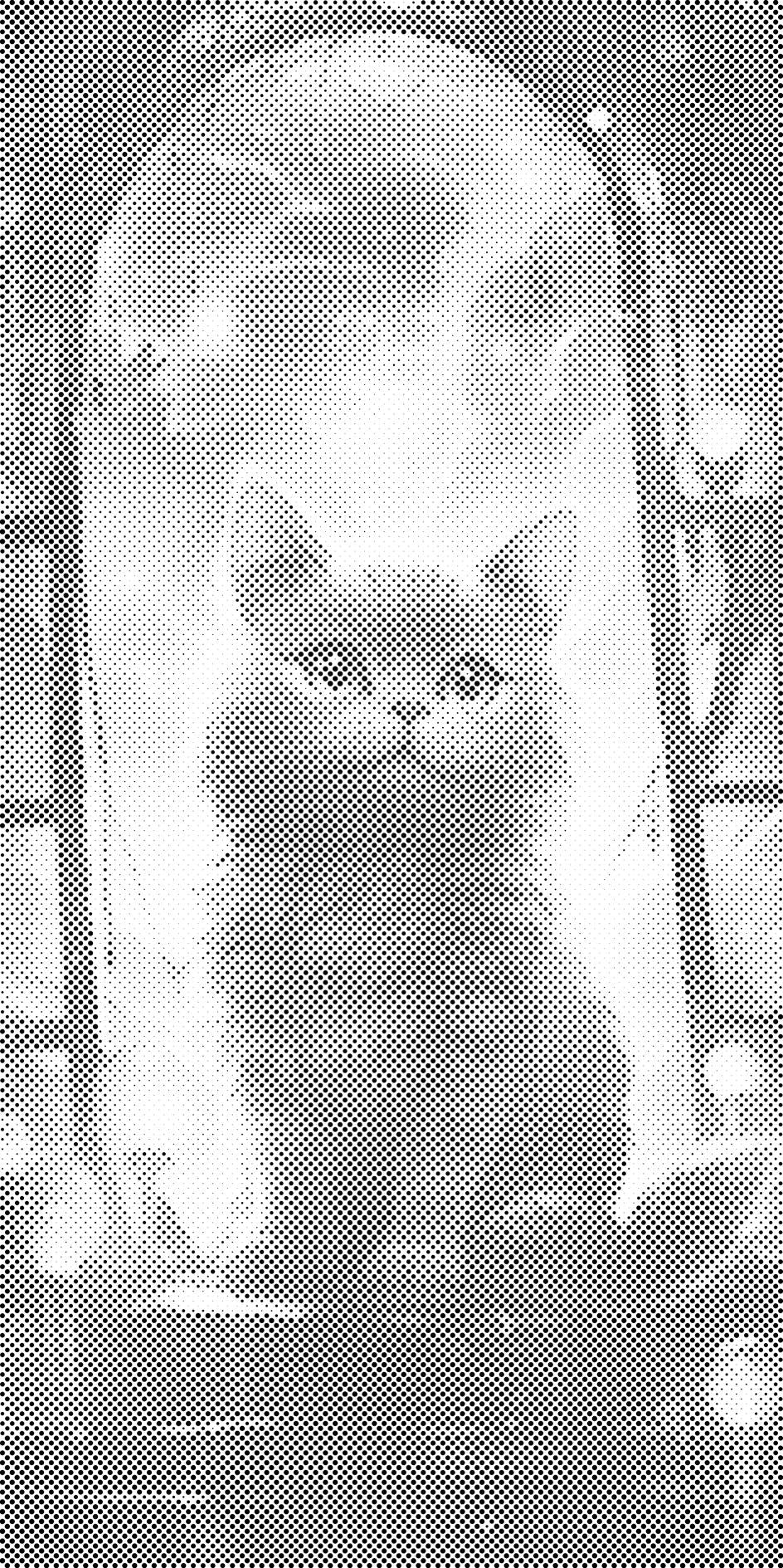 Chat à la fenêtre - Dottingo