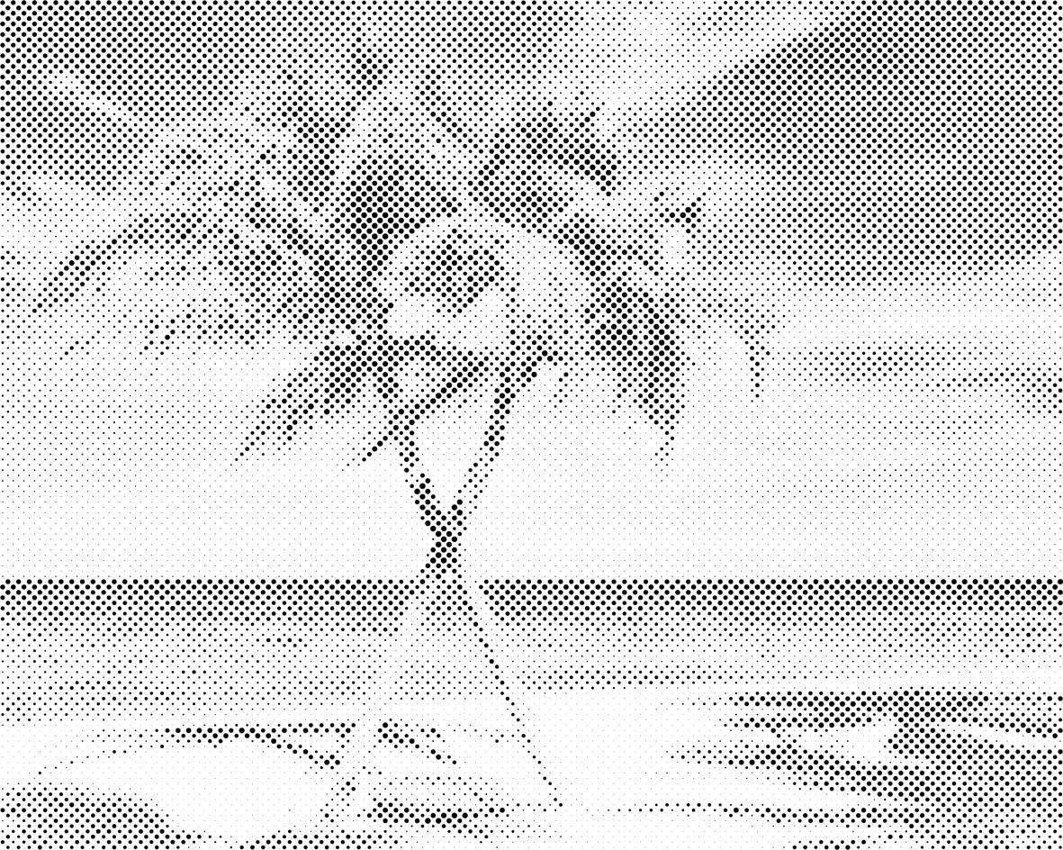 Caraïbes - Dottingo