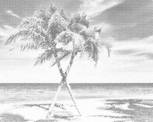 Caraïbes - Dottingo