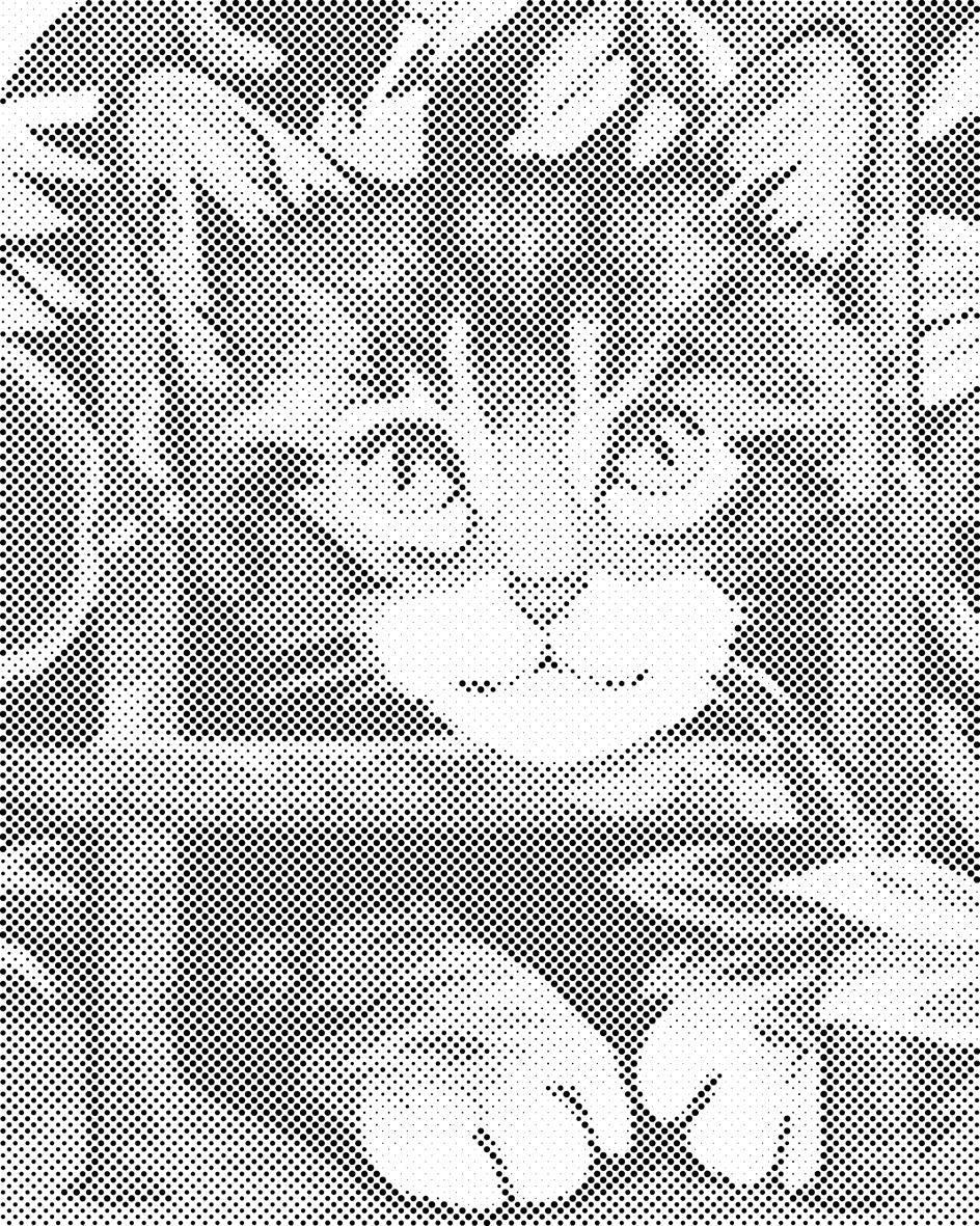 Chaton - Dottingo