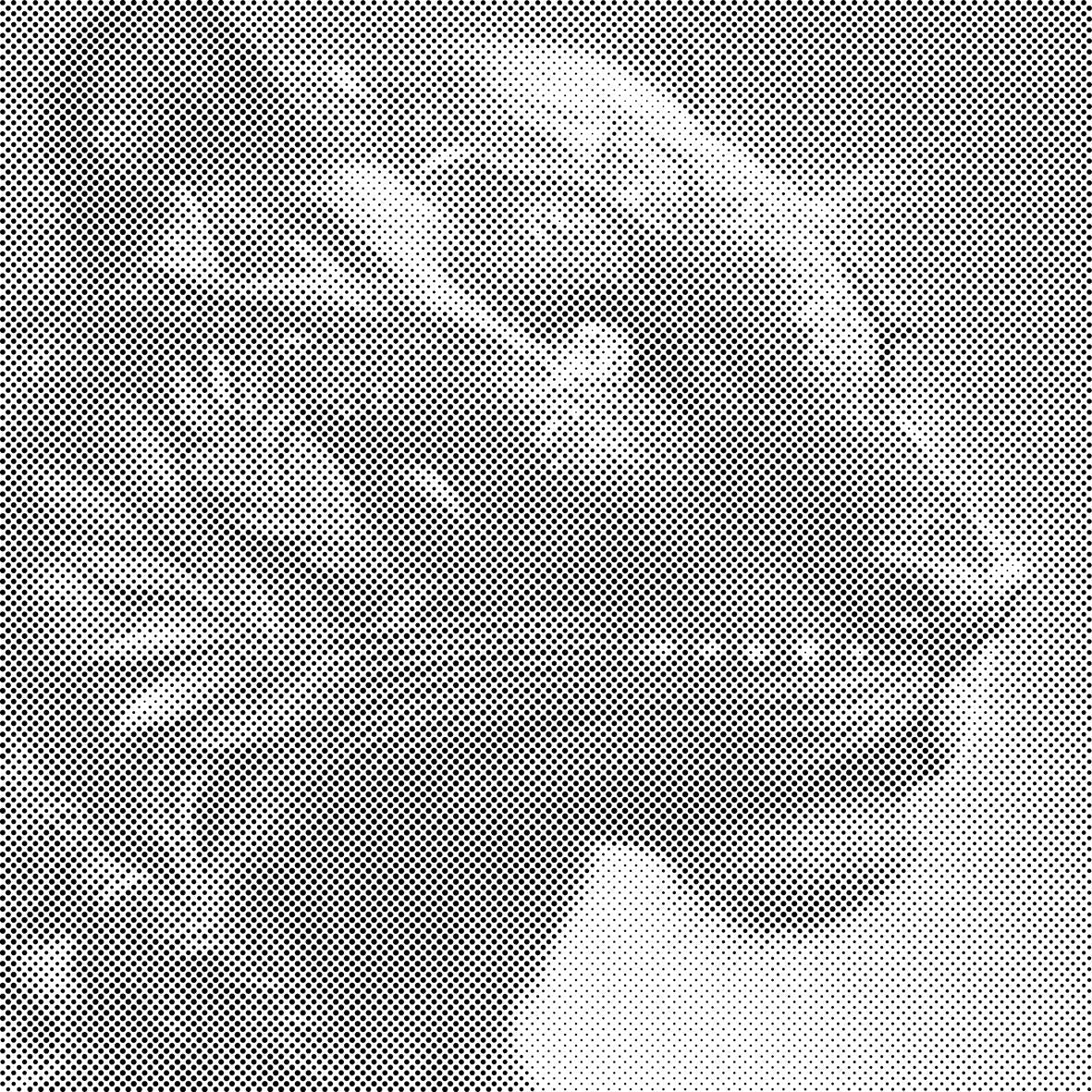 Puma noir - Dottingo