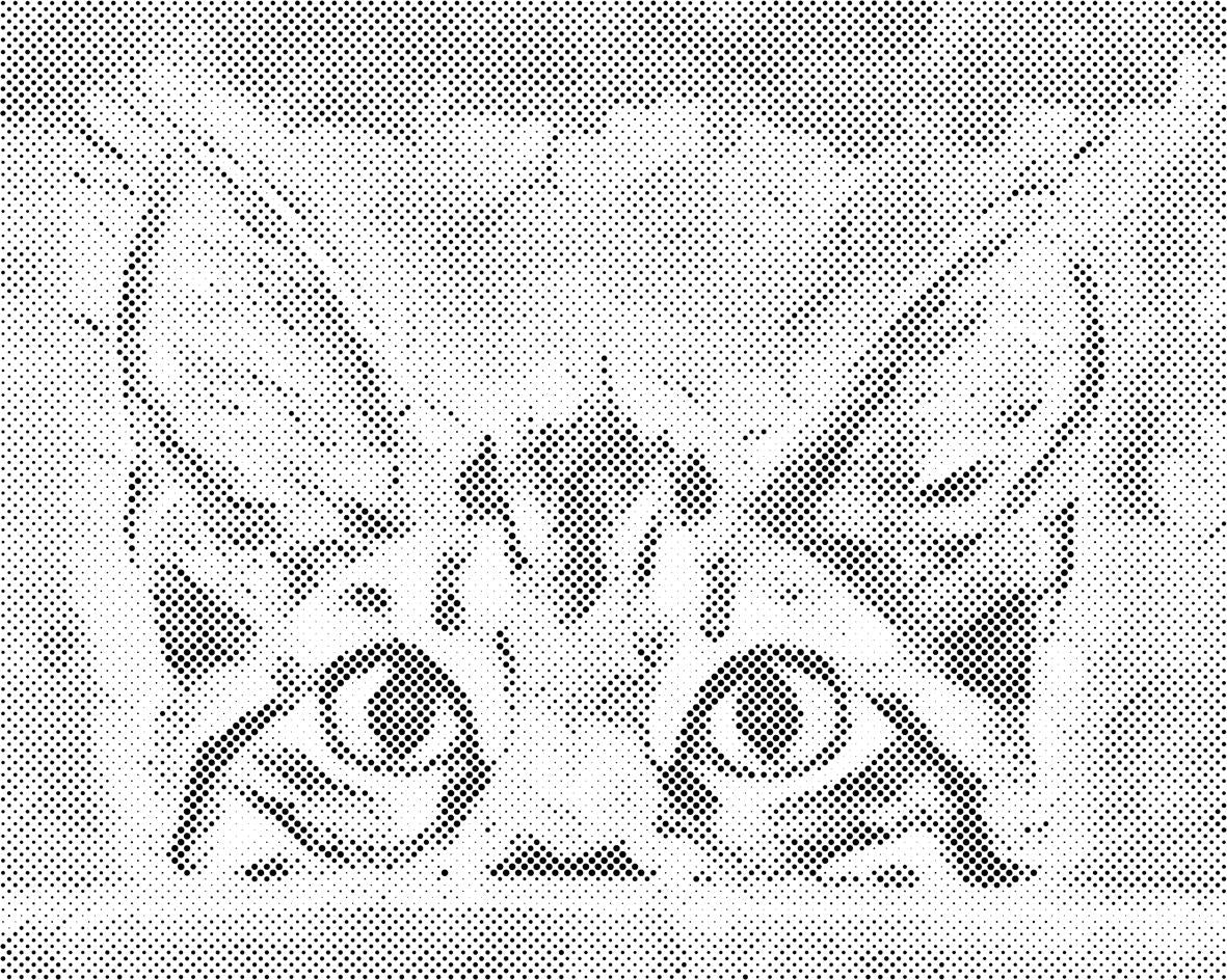 Yeux curieux - Dottingo