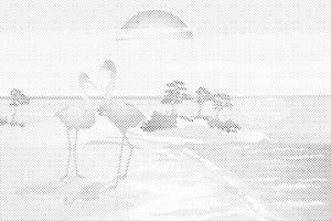 Pélicans sur la plage - Dottingo