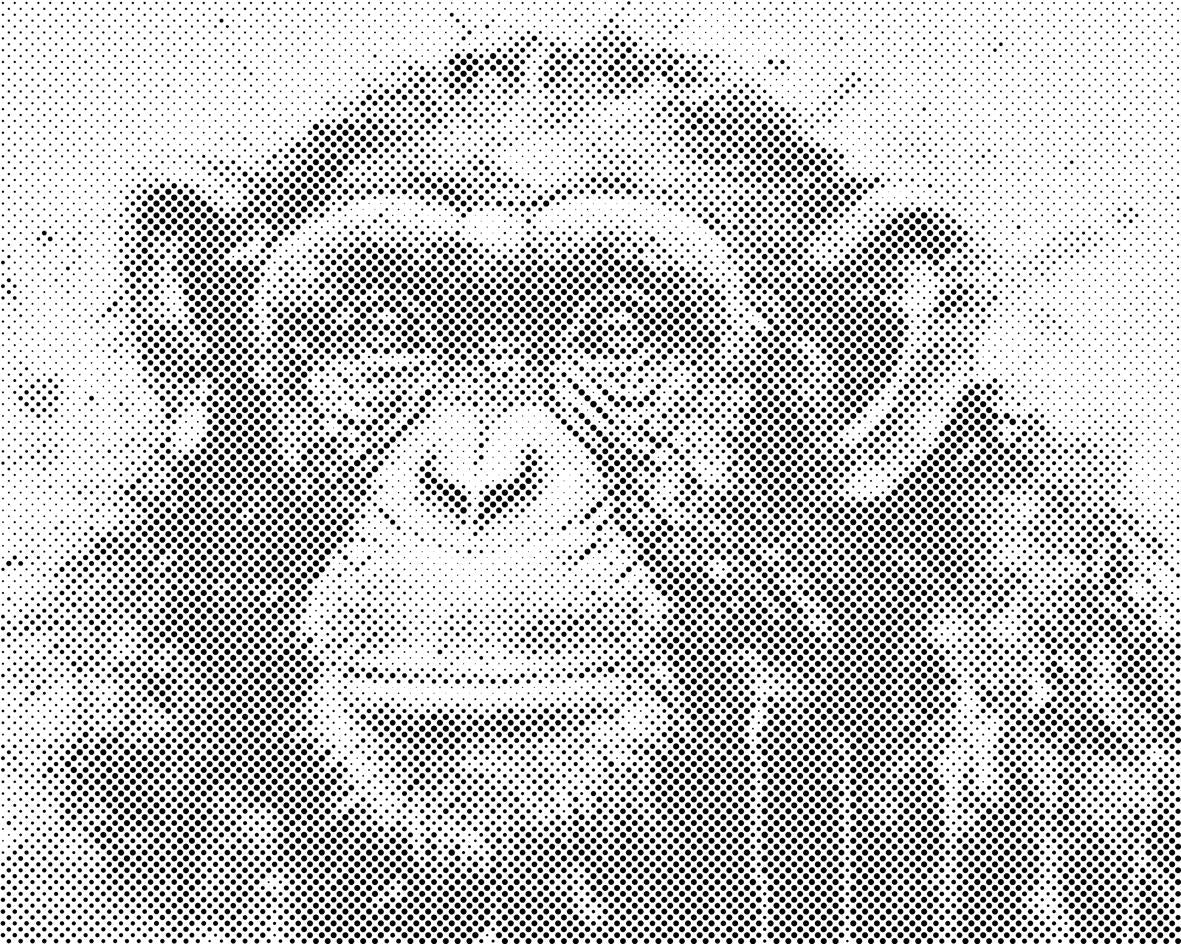 Singe - Dottingo