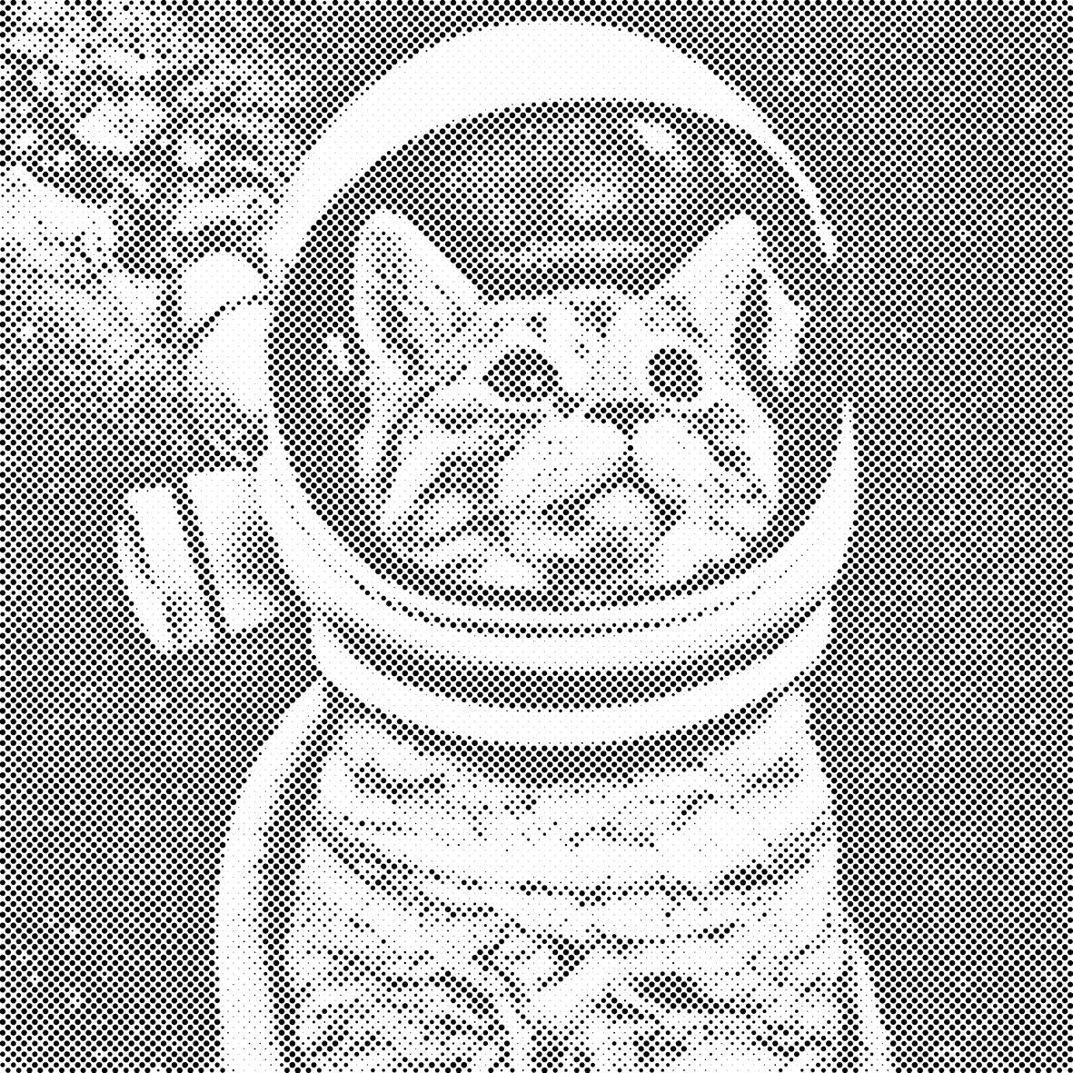 Je veux devenir astronaute - Dottingo
