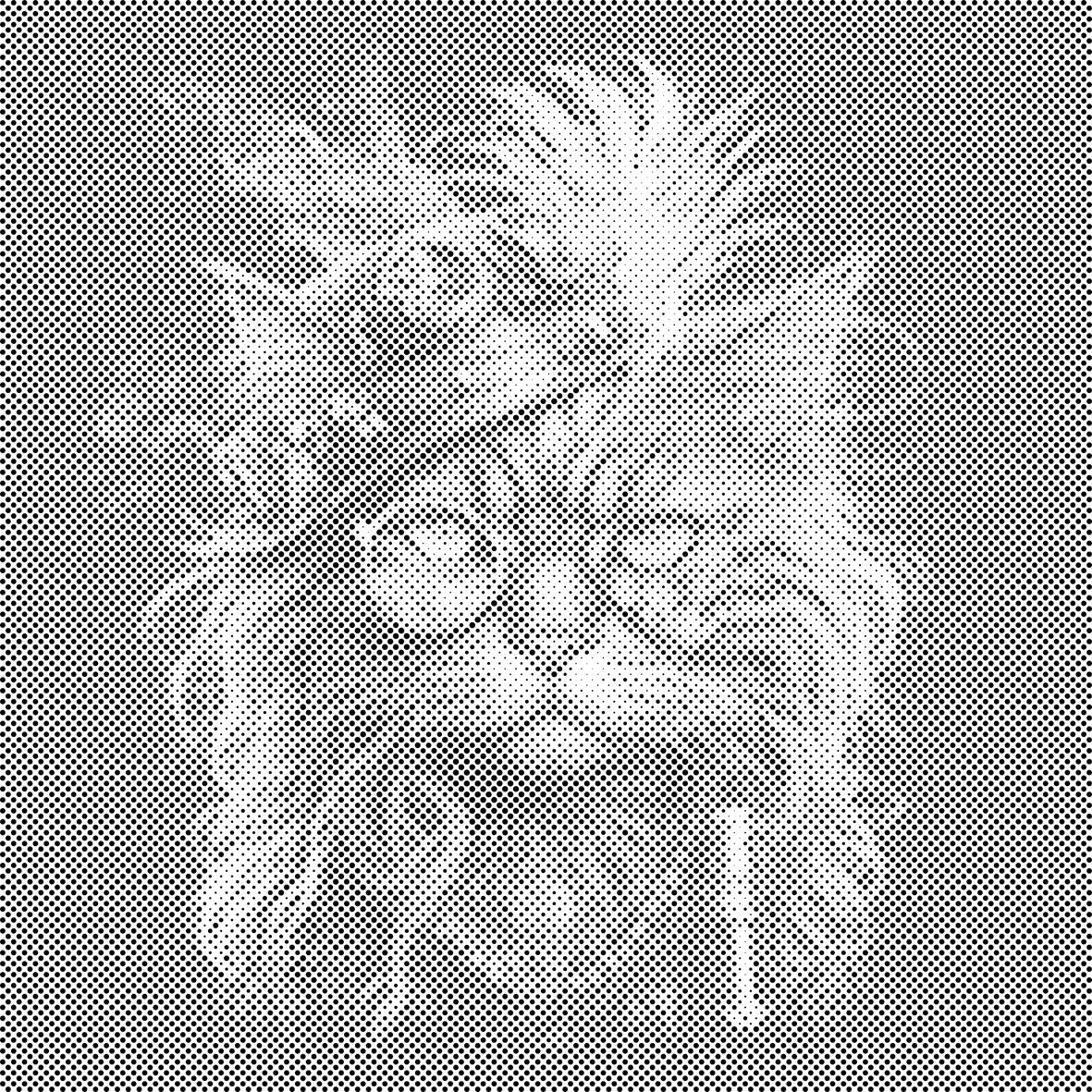 Chat punk - Dottingo